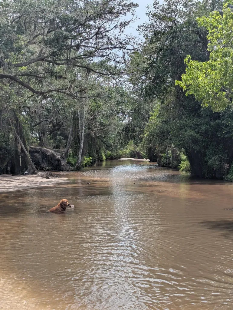 0 Holopaw Groves Road St. Cloud FL 34771