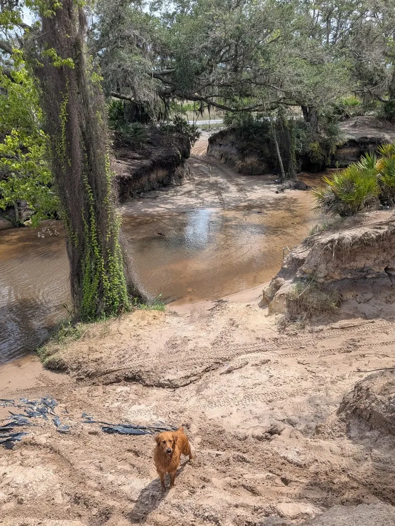 0 Holopaw Groves Road St. Cloud FL 34771