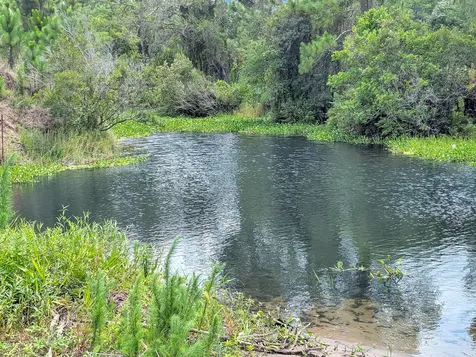0 Holopaw Groves Road St. Cloud FL 34771