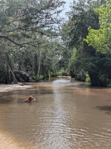 0 Holopaw Groves Road St. Cloud FL 34771