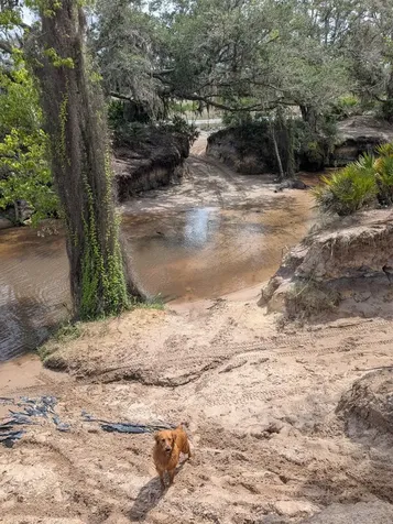 0 Holopaw Groves Road St. Cloud FL 34771