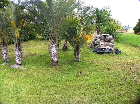 3033 SW Denton Street Port St Lucie FL 34953