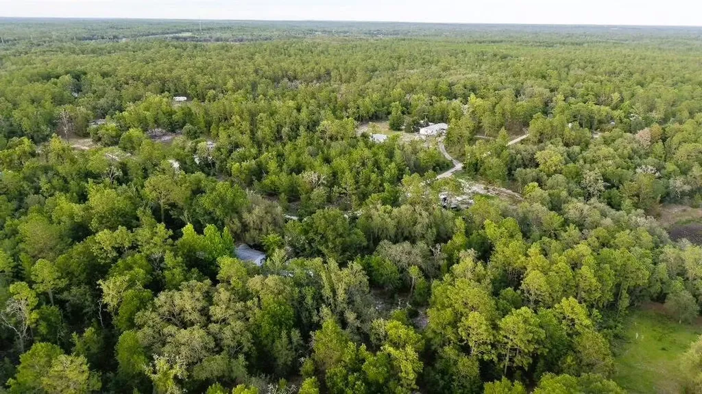 121 Susan Road Hawthorne FL 32640