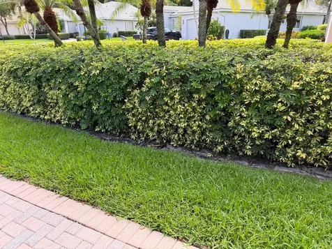 7180 Francisco Bend Drive Delray Beach FL 33446