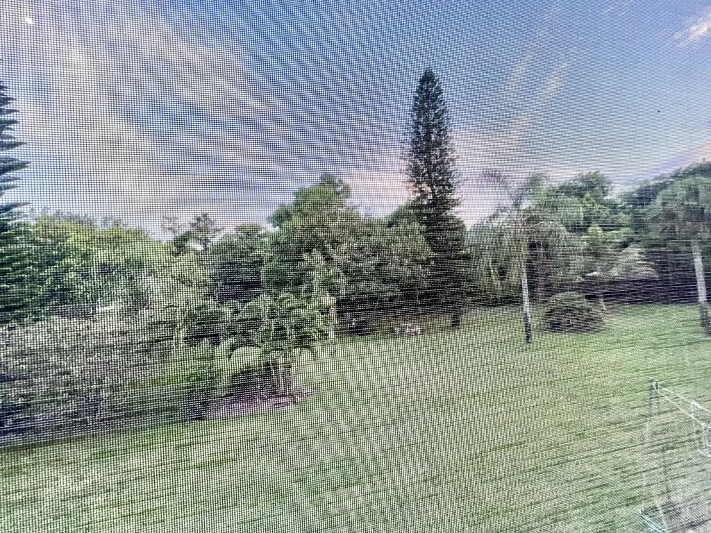 2026 Oakridge D Deerfield Beach FL 33442