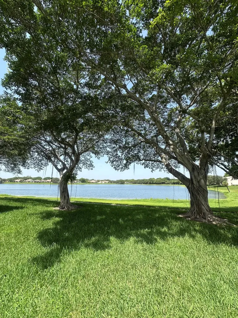 321 Olivewood Place Boca Raton FL 33431