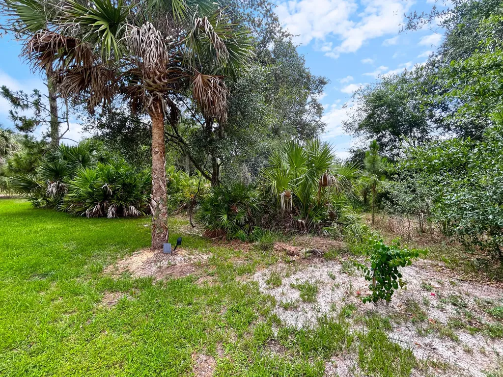 Ancient Ancient North Port FL 34286