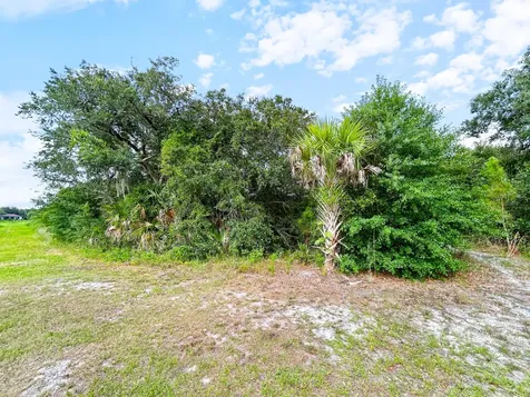 Ancient Ancient North Port FL 34286
