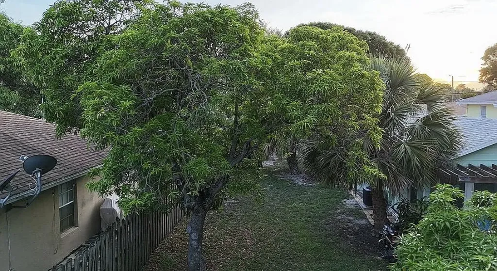 211 N E Street Lake Worth Beach FL 33460