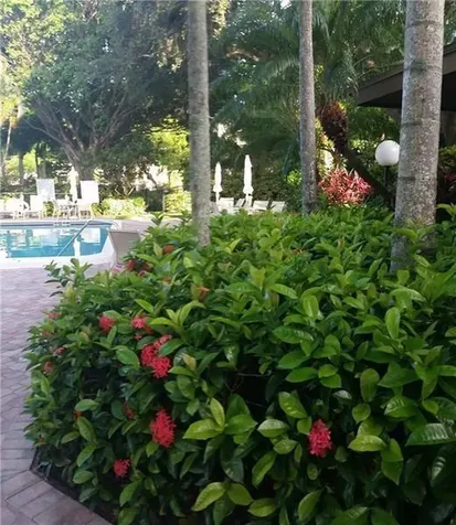 3100 N Course Lane Pompano Beach FL 33069