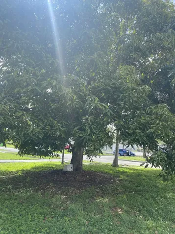 6701 NW 24th Court Sunrise FL 33313