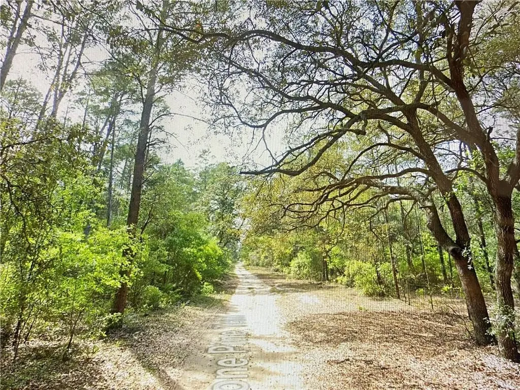 0000 Lone Pine Trail Melrose FL 32666
