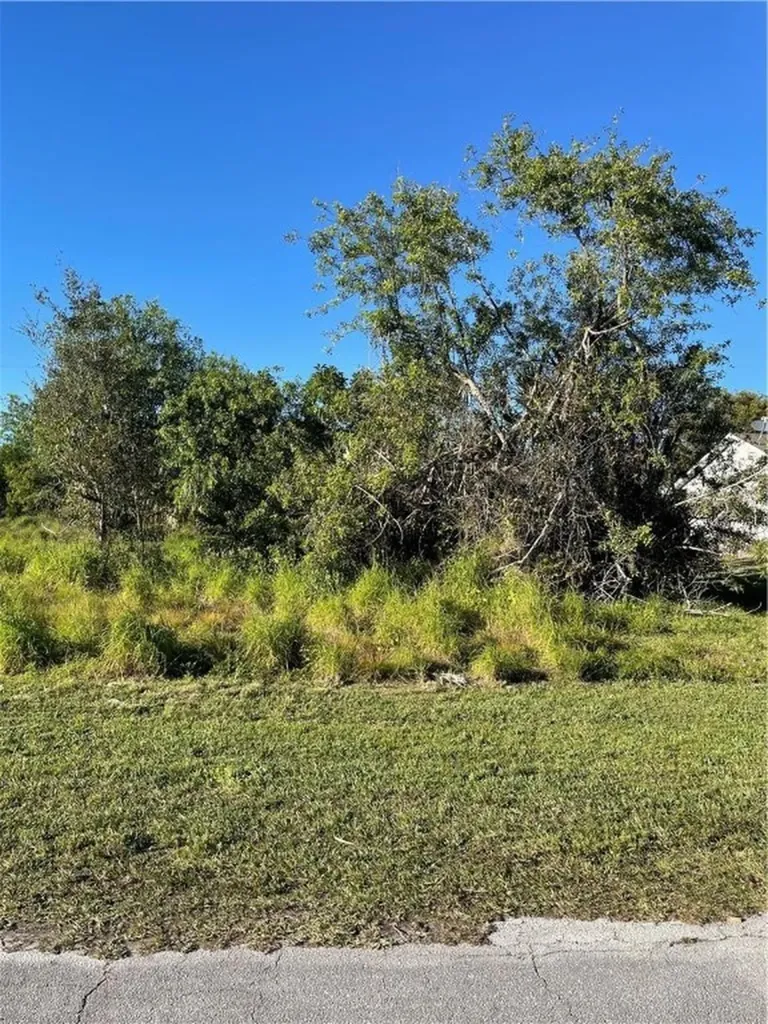 461 SW Baoy Avenue Port St Lucie FL 34953