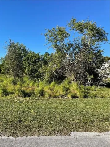 461 SW Baoy Avenue Port St Lucie FL 34953