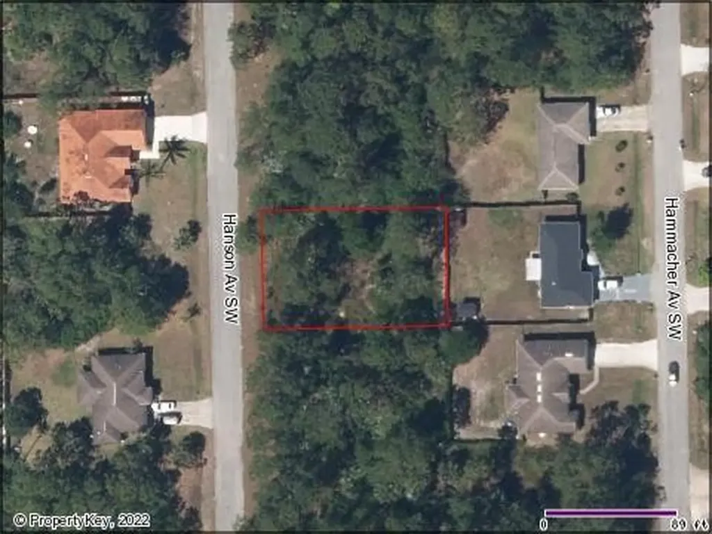 1111 Hanson Palm Bay FL 32908
