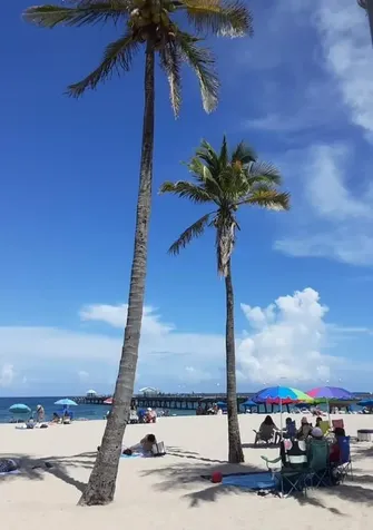 1439 S Ocean Boulevard Pompano Beach FL 33062