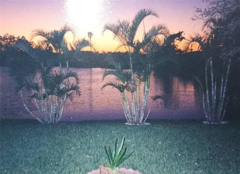 971 SW 134th Avenue Davie FL 33325