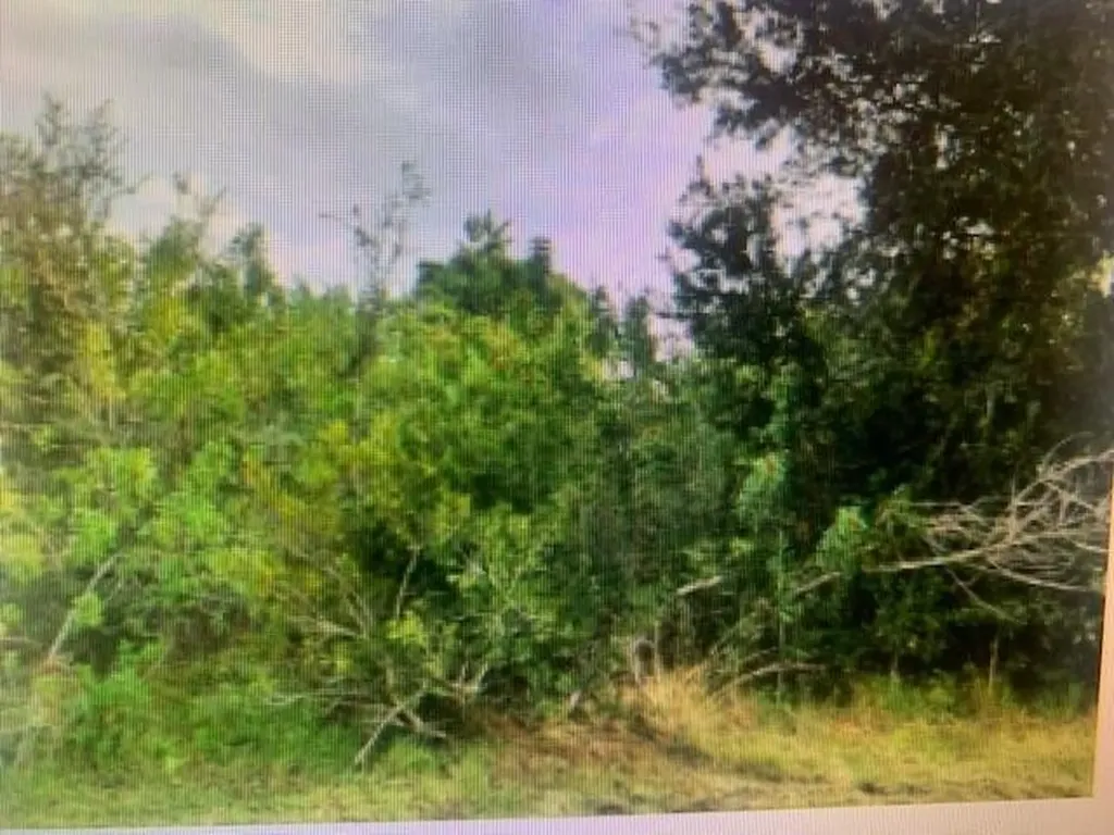 172 SW Exora Terrace Port St Lucie FL 34953