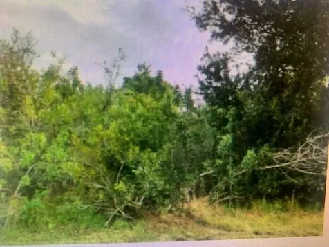172 SW Exora Terrace Port St Lucie FL 34953
