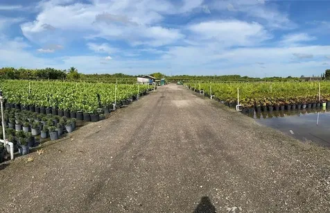 22000 SW 202nd Avenue Miami FL 33170