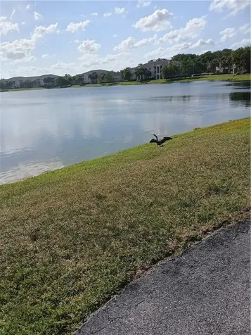5051 Wiles Road Coconut Creek FL 33073