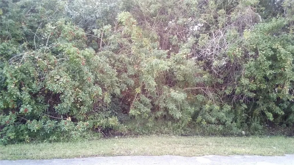 738 SW Mccracken Avenue Port St Lucie FL 34953