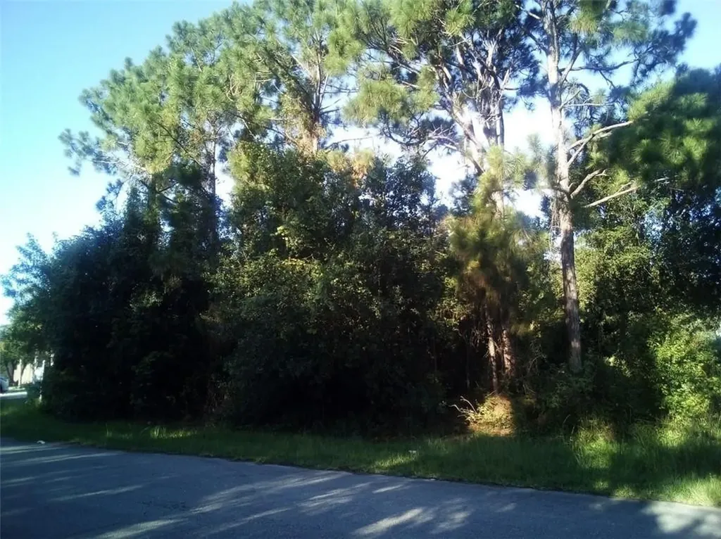 3852 SW Chicopee Street Port St Lucie FL 34953