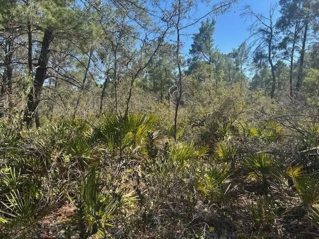 10681 Interlacher Drive Sebring FL 33852