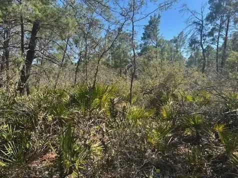 10681 Interlacher Drive Sebring FL 33852