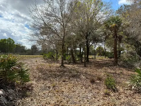 19731 NW 266th Street Okeechobee FL 34972