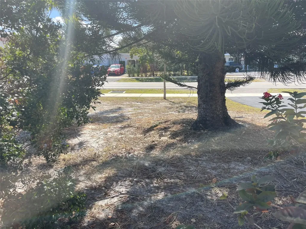 2141 NE 56th Street Fort Lauderdale FL 33308
