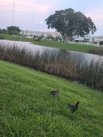 4400 Hillcrest Drive Hollywood FL 33021