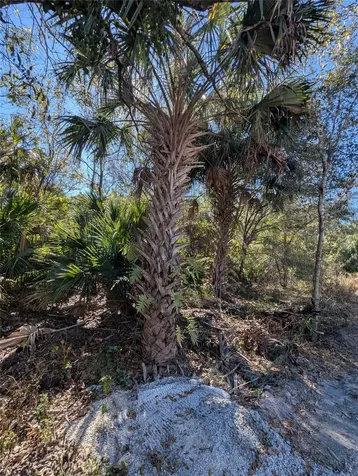 8635 96th Vero Beach FL 32967