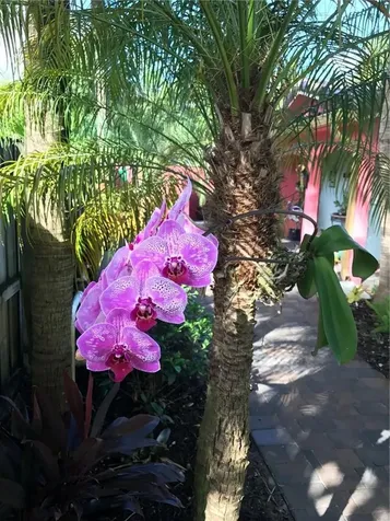 1334 NE 16th Avenue Fort Lauderdale FL 33304