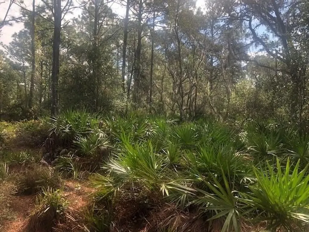 0 Old Grade Road Polk City FL 33868