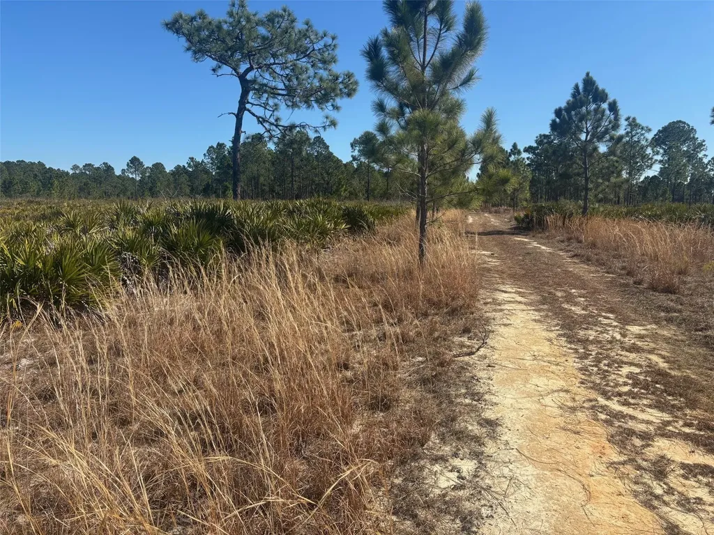 0 Xeriscape Nursery Road Frostproof FL 33843