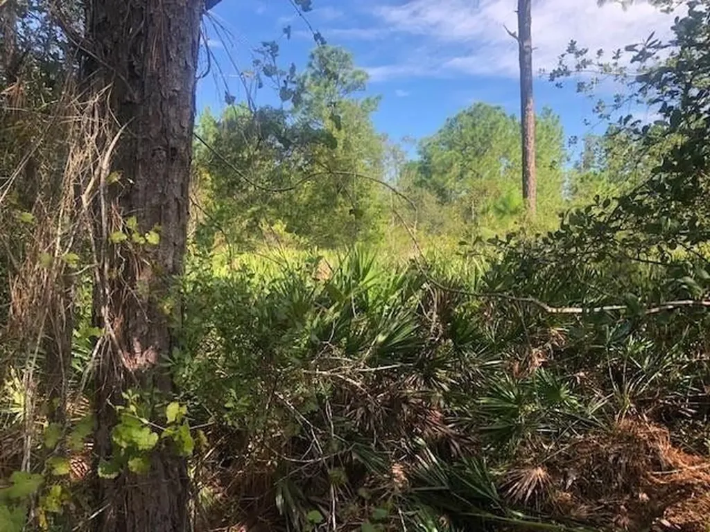 0 Old Grade Road Polk City FL 33868
