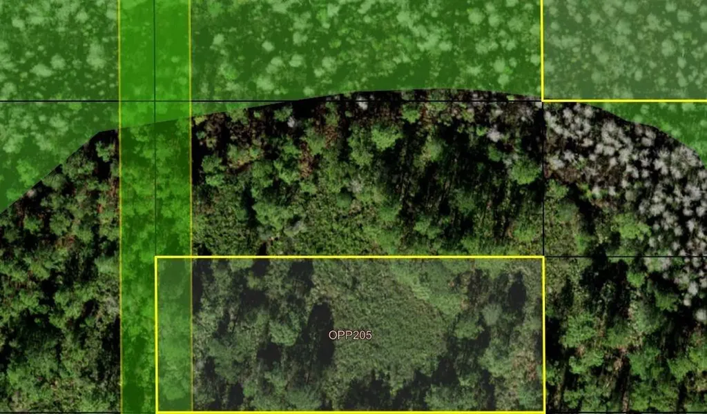 0 Old Grade Road Polk City FL 33868