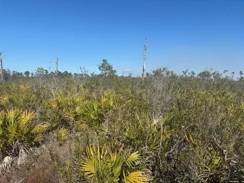 0 Hwy 630e Frostproof FL 33843
