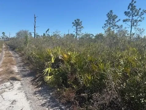 0 Hwy 630e Frostproof FL 33843