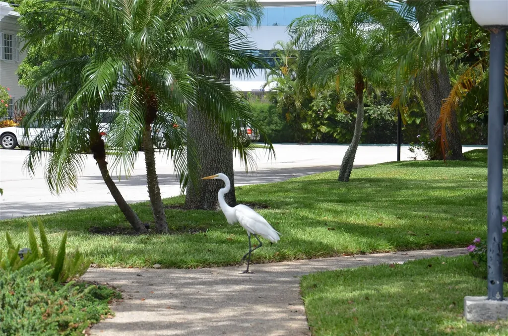 6247 Bay Club Drive Fort Lauderdale FL 33308
