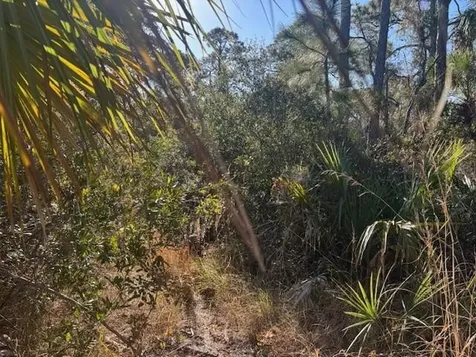 42260 93rd Avenue Vero Beach FL 32966