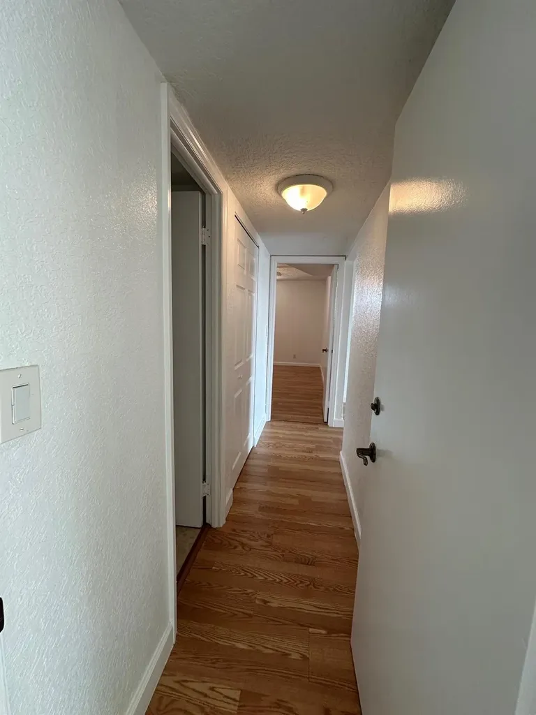 3100 N Pine Island Road Sunrise FL 33351
