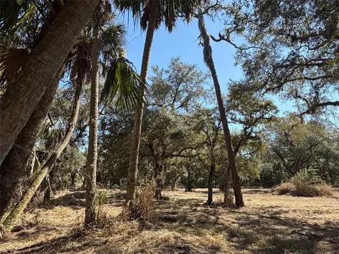 Tbd SE 40th Avenue Okeechobee FL 34974