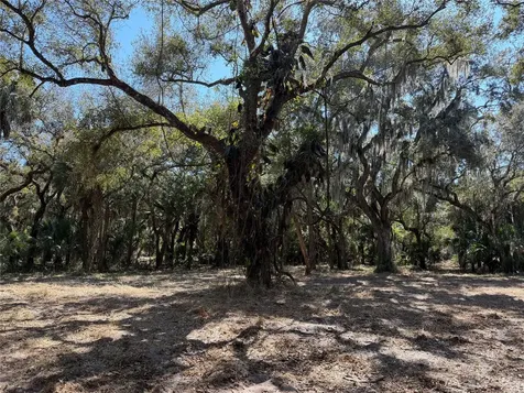 Tbd SE 40th Avenue Okeechobee FL 34974