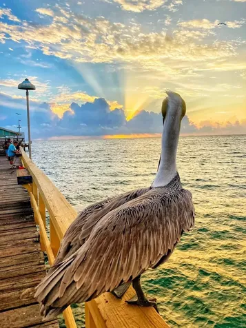 1012 N Ocean Boulevard Pompano Beach FL 33062