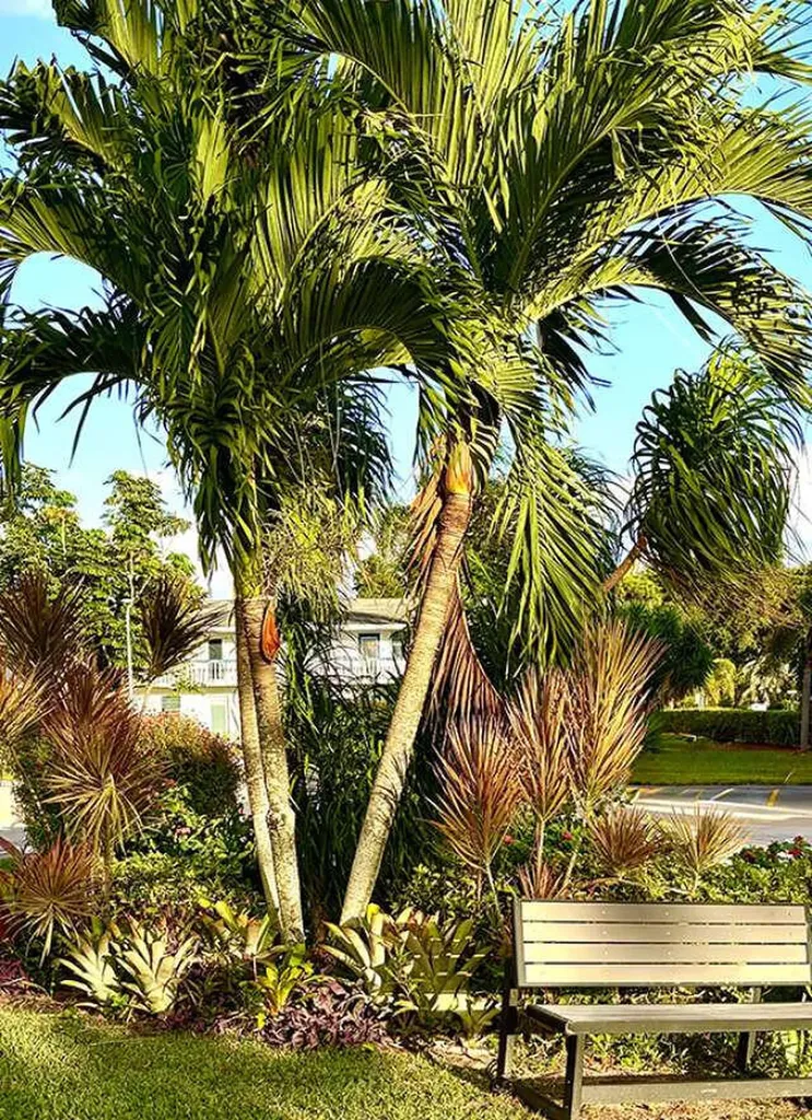 433 Durham O Deerfield Beach FL 33442