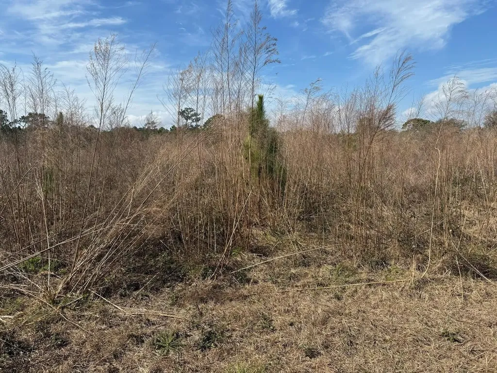 0 Old Grade Road Polk City FL 33868