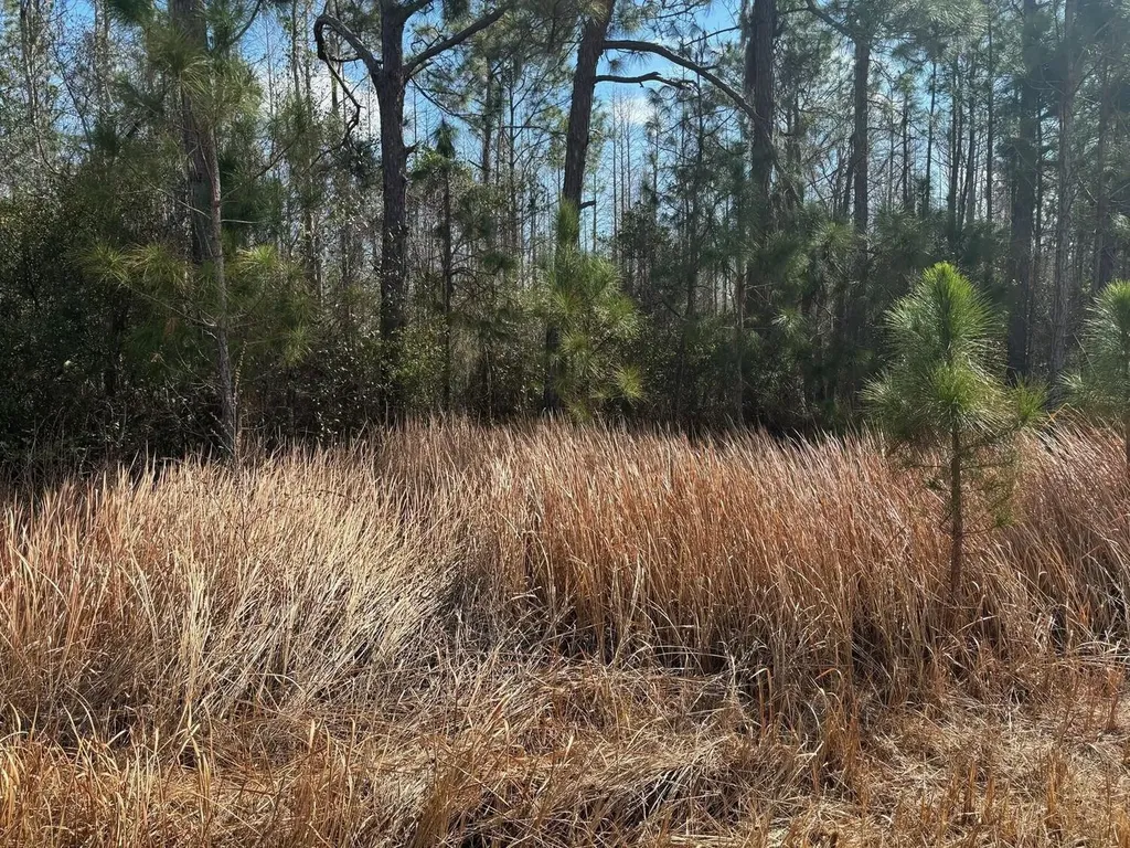 0 Old Grade Road Polk City FL 33868
