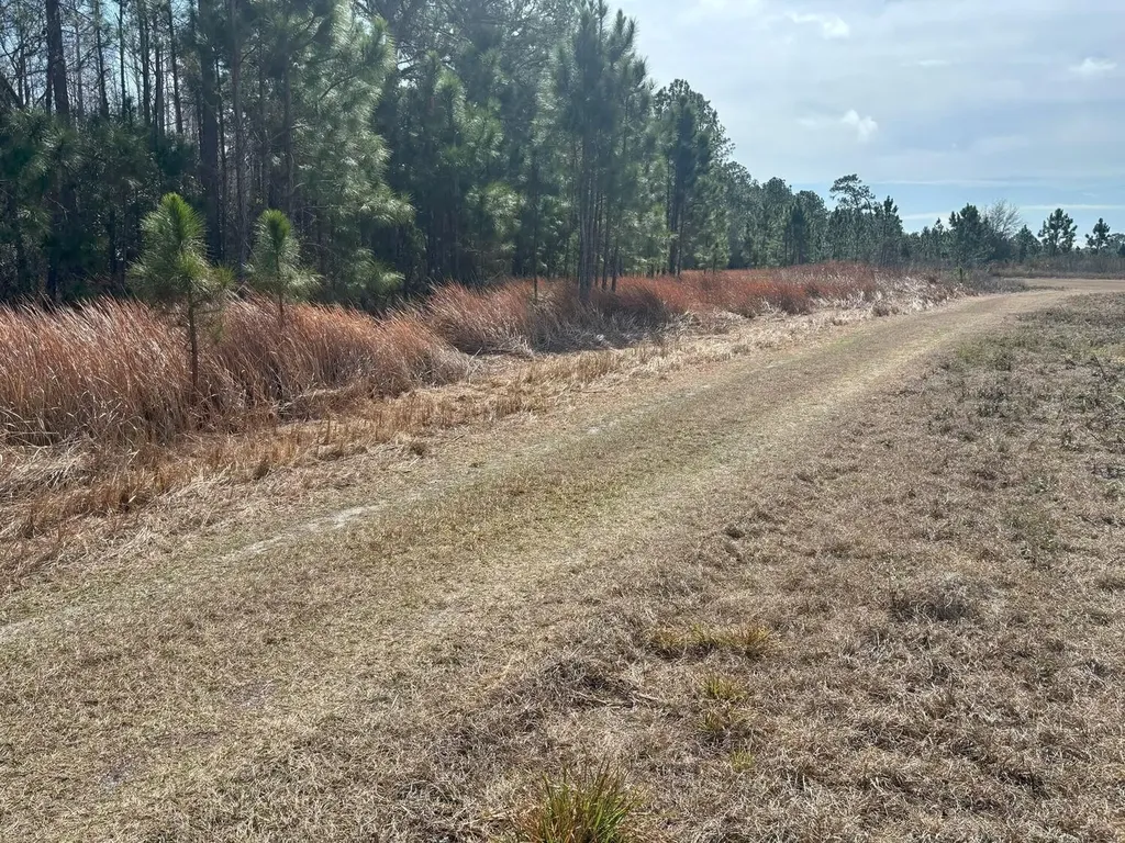0 Old Grade Road Polk City FL 33868